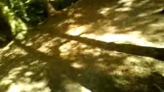 grinshill 6