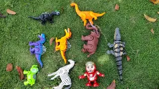 Animal toys reviews include crocodiles, elephants, zebras, dinosaurs