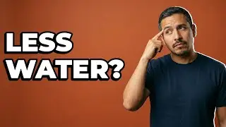 How Do Las Vegas Golf Courses Conserve Water?