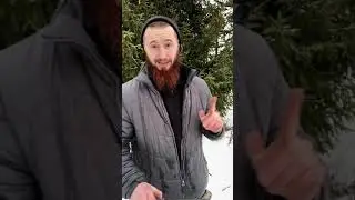 Одинокий Волк Кайова