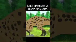 Gray Wolf VS Spotted Hyena  #anima&ccedil;&atilde;o #animation #animals #wolf #hyena #2danimation #pivotanimator