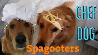 Dog Cooks For Owner | Emmett TV #4