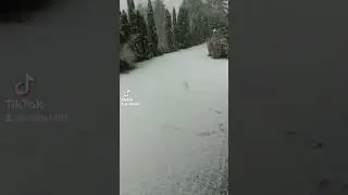 #4k SNOW #shorts #poland #snow