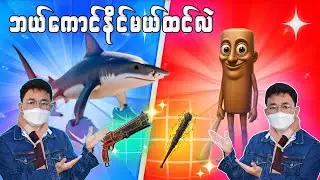 🔥Minecraftထဲမှာ 【