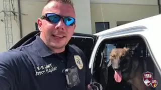 K9 Athos trying out his Ruffwear boots! | K9s4COPs | K9s4KIDs