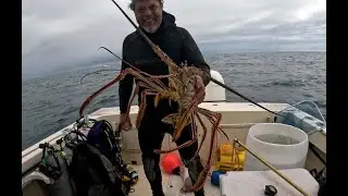 Fort Pierce Florida:  Giant Lobsters!