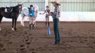 Introduction to Mindy Bower at ClinicHorsemanship.com