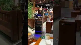 Robot waiter serves food in restaurant