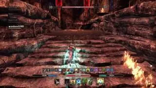 vDSA - last boss - Warden Tank
