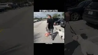 De compras con cactus