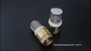 Brass Forged Check Valve With Stainless Steel Filter