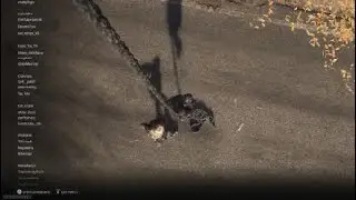 Carkill Call of Duty&reg;_20260111220223