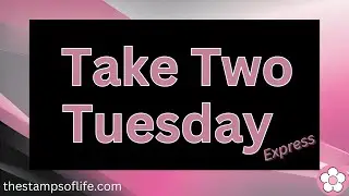 11 Uplifting Words + Shadows = Endless Card Magic! | Stamps of Life Take Two Tuesday Express