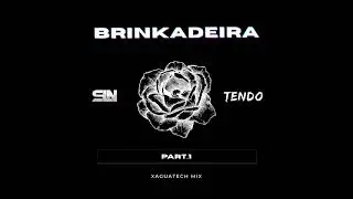 SLN X@tendodjj -BRINKADEIRA Part.1 (XAGUATECH MIX)