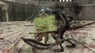 Cemetery Shade Vs Shadow of the Erdtree DLC - Elden Ring