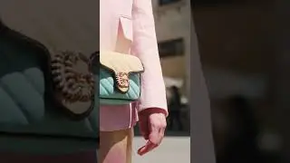 The Limited Edition Gucci Marmont Mini- Coo de Luxe