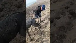 #life #fishing #конноеранчо #carpfishing #лошадки #help #horse #моялошадь #animals #movie
