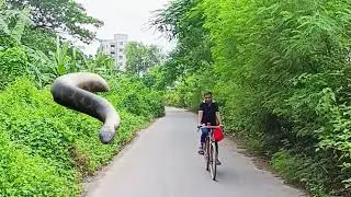 Real Snake Attack 😨 | অল্পের জন্য প্রাণে বাঁচলাম! | Dangerous Vlog