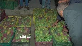 bila kinaa | هندي بوعرقوب..مطلوب في العالم وسرو في بنتو..الكلغ بألفين وسوقو تحفل وحرفاؤه من كل مكان