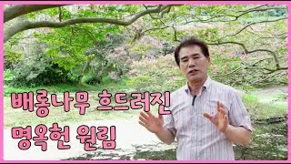 [입문학수다#36] 배롱나무 흐드러진 명옥헌 원림!