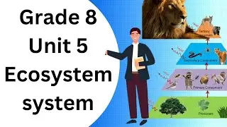 Ecosystem and tropic levels grade 8 unit 5