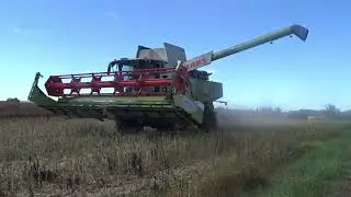 Moisson de colza 2020 avec la CLAAS Lexion 750