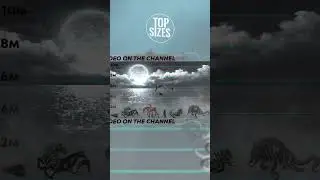 Biggest Sea Monsters Size Comparison #shorts