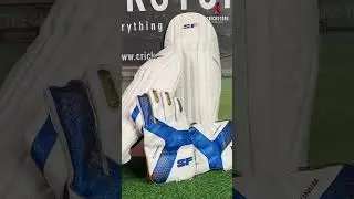 Stand Fearless Behind the Stumps with SF Wicket-Keeping Gloves & Pads 🔥 #cricket #Cricketgear #IPL