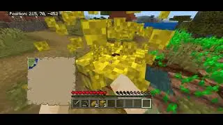1,000 Minecraft seeds (846/1000): unknown contents