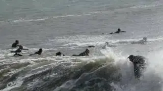 BIG SURF at the Santa Barbara Breakwater!
