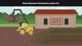 Weyerhaeuser Co. v. Ross Simmons Hardwood Lumber Co. Case Brief Summary | Law Case Explained