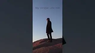 Singelen 