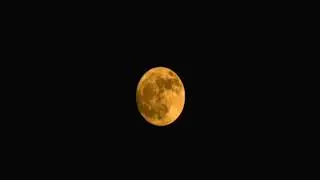 Relaxing | Thoughtless | Calm | Soothing Night
