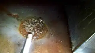 Why is My Sewer Backing UP????   :-(