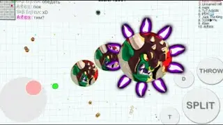 The Blob.io Popsplit God ?! v.1 (agar.io)
