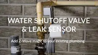 Dome: Water Main Shut-off Valve and Leak Sensor Introduction