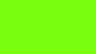 2 Hour Bright Green Screen In 4K!