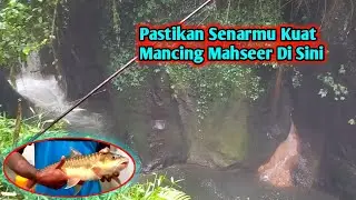 Pastikan Senarmu Kuat Mancing Mahseer Di Sini - Semakin Malam Semakin Tak Terkendali