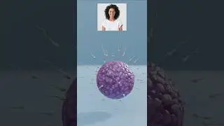Worm Egg Vs Human Egg Vs Dragon