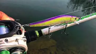 Fishing with CUSTOM BAITS for Pre-Spawn Bass! (Spring Jerkbait Fishing)