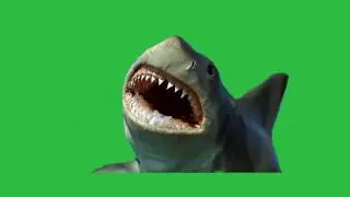 GREEN SCREEN GREAT WHITE SHARK Jumping above Water-animated