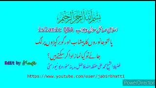 پالتو جانوروں کا پیشاب اور گوبر کپڑوں پر لگ جائے تو کیا کپڑے پاک ہے کہ نہیں؟