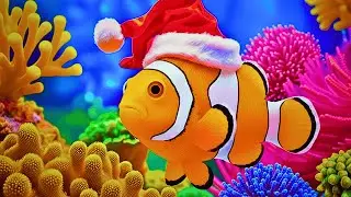 The Best Aquarium 4K Ultra HD 🐠 Stunning Coral Fish & Jellyfish - Relaxing Music for Sleep #10
