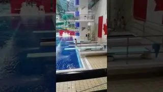 201C Diving Video