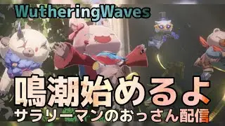 【鳴潮】コツコツ配信　#鳴潮　#wutheringwaves #プロジェクトWAVE