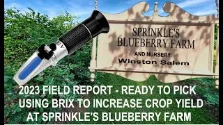 Refractometer monitors BRIX level for improved Blueberry production