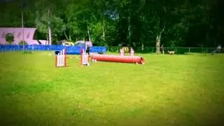 Jade tunnelrace mei 2017