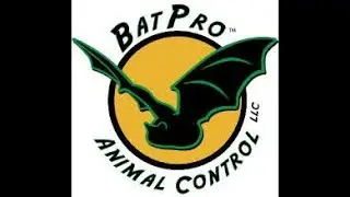 Bat Removal And Clean Up Ocean County Nj - Pest Control In Ocean County Nj!