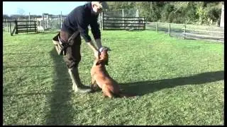 Sporting Shooter. Improving the delivery