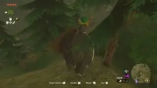 Zelda: Tears of the Kingdom - 4 Heart Challenge First Playthrough Part 19 [Switch]